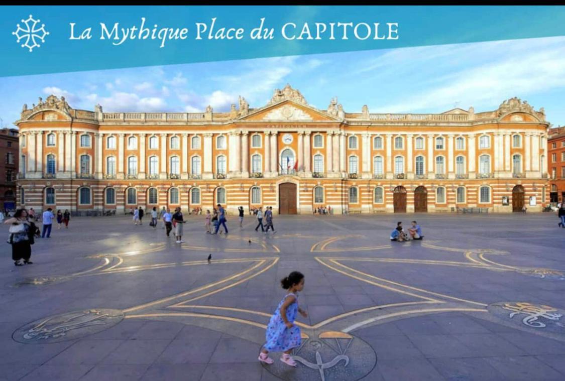 L Oasis Studio Proche Hopital Et Aeroport Piscine Parking &Netflix Toulouse Exterior foto