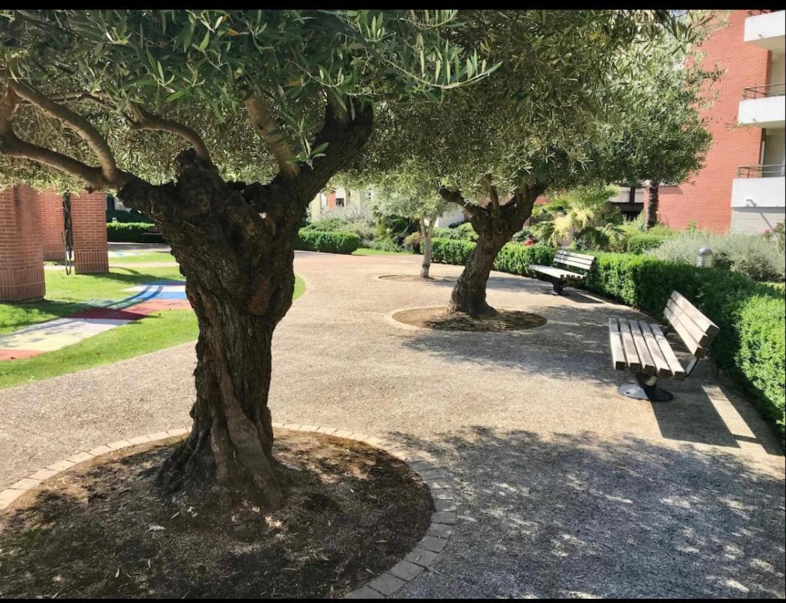 L Oasis Studio Proche Hopital Et Aeroport Piscine Parking &Netflix Toulouse Exterior foto